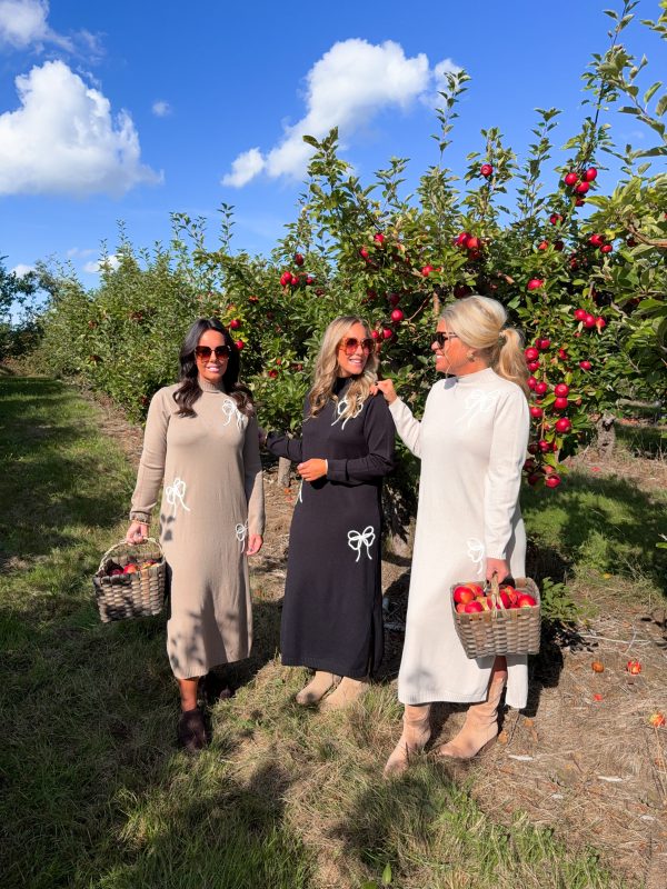 Finstickad Poloklänning - Rosett - Svart - Bild 2