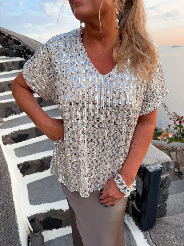 V-Ringad Paljettblus - Silver